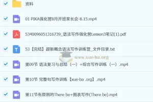 皮卡褚英语《超新概念语法写作训练营》