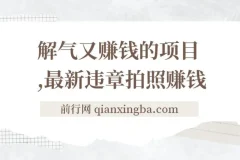 最新违章拍照赚钱，随手一拍，轻松收入3000+