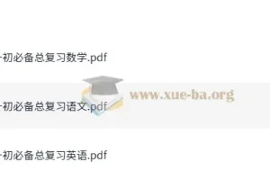 小升初必备总复习 语数英