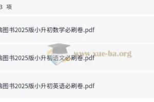 25春语数英小学六年级 小升初必刷卷 含答案