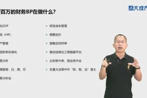 财务BP实战特训：从入门到年薪百万的业财融合课