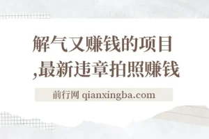 最新违章拍照赚钱，随手一拍，轻松收入3000+