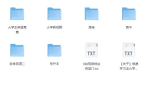 《B站最全单词库：图欧英语全套单词视频》（你这辈子要背的单词都在这里）[MP4+PDF]