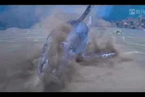 斑马百科：哺乳动物全解析-从特征到行为