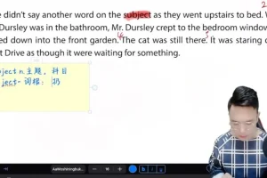 【成人英语精读】哈利波特英文原著课：从魔法石到魁地奇