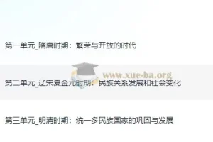 初中历史统编版七年级下册 课件 PPT