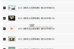 ACE《解词三剑客》速记背单词