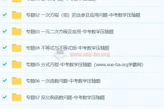 中考数学压轴题专题