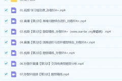 2024高二物理 孙竞轩物理 A+春季班