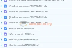 初中英语 初二语法集锦