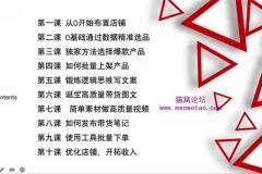 2024小红书无货源电商变现实战课