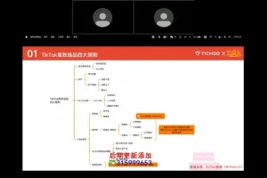 TikTok零粉带货速成：短视频营销全攻略