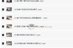 外贸全能商务英语课 学完轻松谈生意 轻松拿订单