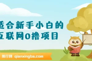 适合新手小白的互联网0撸项目，不用技术无脑操作，轻松日入三位数