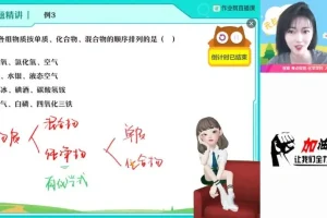 2024届杨雯智初三化学S班暑假课程