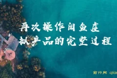 某公众号付费文章，再次操作闲鱼虚拟产品的完整过程