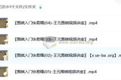 围棋入门快易精围棋入门王元围棋视频讲座