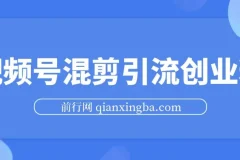 精华帖视频号混剪500万播放引流17000创业粉，单日直接过万变现