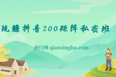 玩赚抖音200矩阵私密班