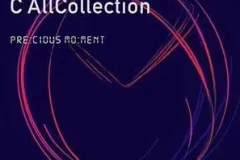 C AllStar《此刻无价C AllCollection》[无损WAV/MP3/665MB]