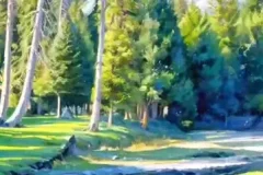 AI漫画视频制作教程：小白也能快速涨粉与变现