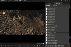 视频播放器 PotPlayer 240618(1.7.22259) 去广告绿色版