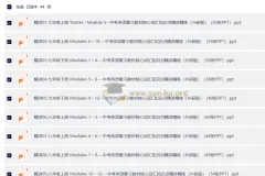 中考英语 复习教材核心词汇知识点精讲精练