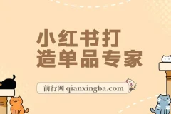 某公众号付费文章《小红书 打造单品专家》小红书有很多月销额到百万的单品