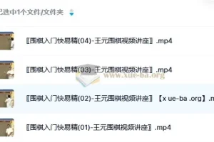 围棋入门快易精围棋入门王元围棋视频讲座