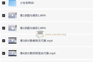 小学数学 6年级数学 刘庆涛 秋季