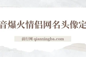 抖音爆火情侣网名头像定制，简单易操作，轻松日入300+，无需养号