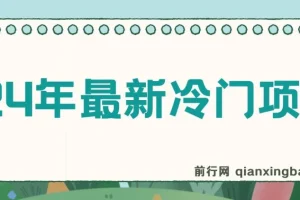 24年最新冷门项目，无脑搬运，收益无上限，保姆级落地教程