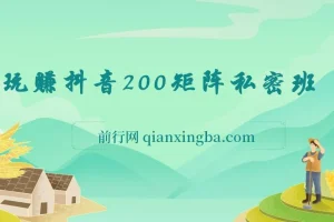 玩赚抖音200矩阵私密班