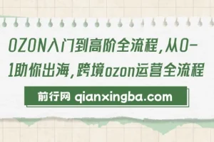 【精】OZON入门到高阶全流程，从0-1助你出海，跨境ozon运营全流程