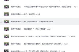 《B站李唐yo充电视频合集精选》揭秘真实的朝鲜[MP4]