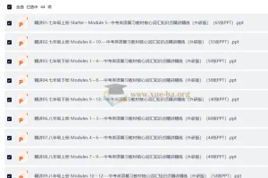 中考英语 复习教材核心词汇知识点精讲精练