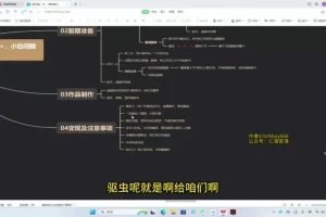 创作猫保姆级掘金计划:新手3天上手收益丰富