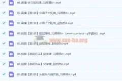 2024高二化学 冯琳琳化学 A+寒假班