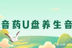 健康养生细分领域赛道，卖音药U盘养生音乐，轻松月赚一万+，可批量操作