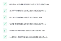 《2023郭德纲 纲丝节全集》有声相声 114段 纲丝节重磅回归