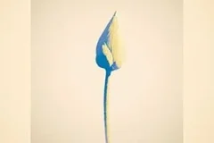 Uru《心得/紙一重》[无损FLAC/MP3/341MB]