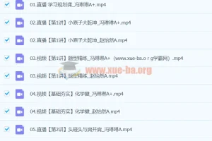 2024高二化学 冯琳琳化学 A+寒假班