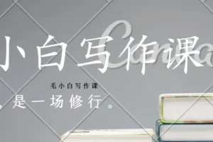 毛小白写作课