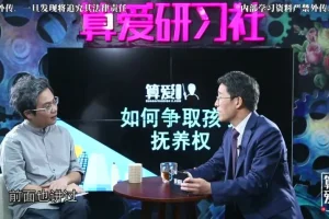 陆琪《无痛离婚法》全攻略：情感与法律智慧