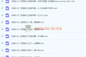 2024年高三高考数学 肖晗数学 S寒假班