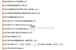 初中（七八九年级）复习资源汇总 105个PDF 24.12.8