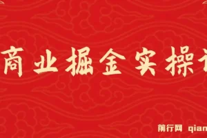 AI商业掘金实操课，小白也能上手的AI创收课（31课）