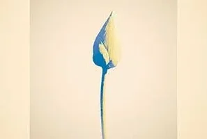 Uru《心得/紙一重》[无损FLAC/MP3/341MB]