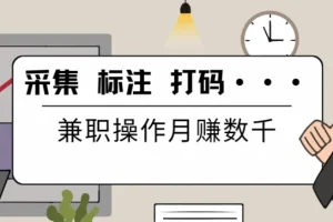 线上数据兼职【采集 标注 打码···】兼职操作月赚数千