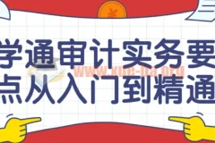 学通审计实务要点从入门到精通课